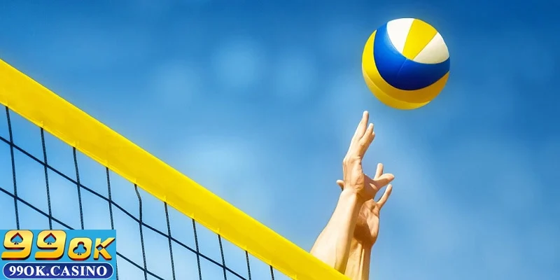 Tiết lộ ba nhà cung cấp kèo bóng chuyền nổi bật mà bạn nên khám phá.